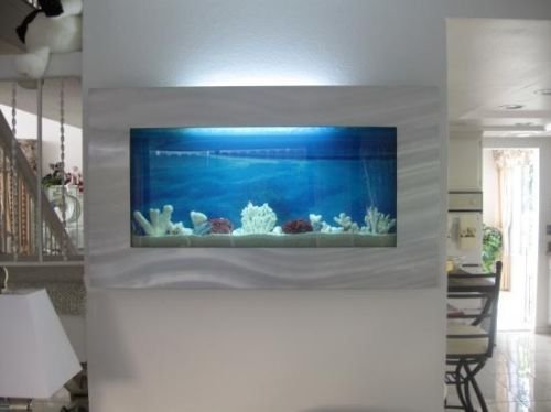 aquarium for wall
