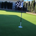 synthetic grass putting green